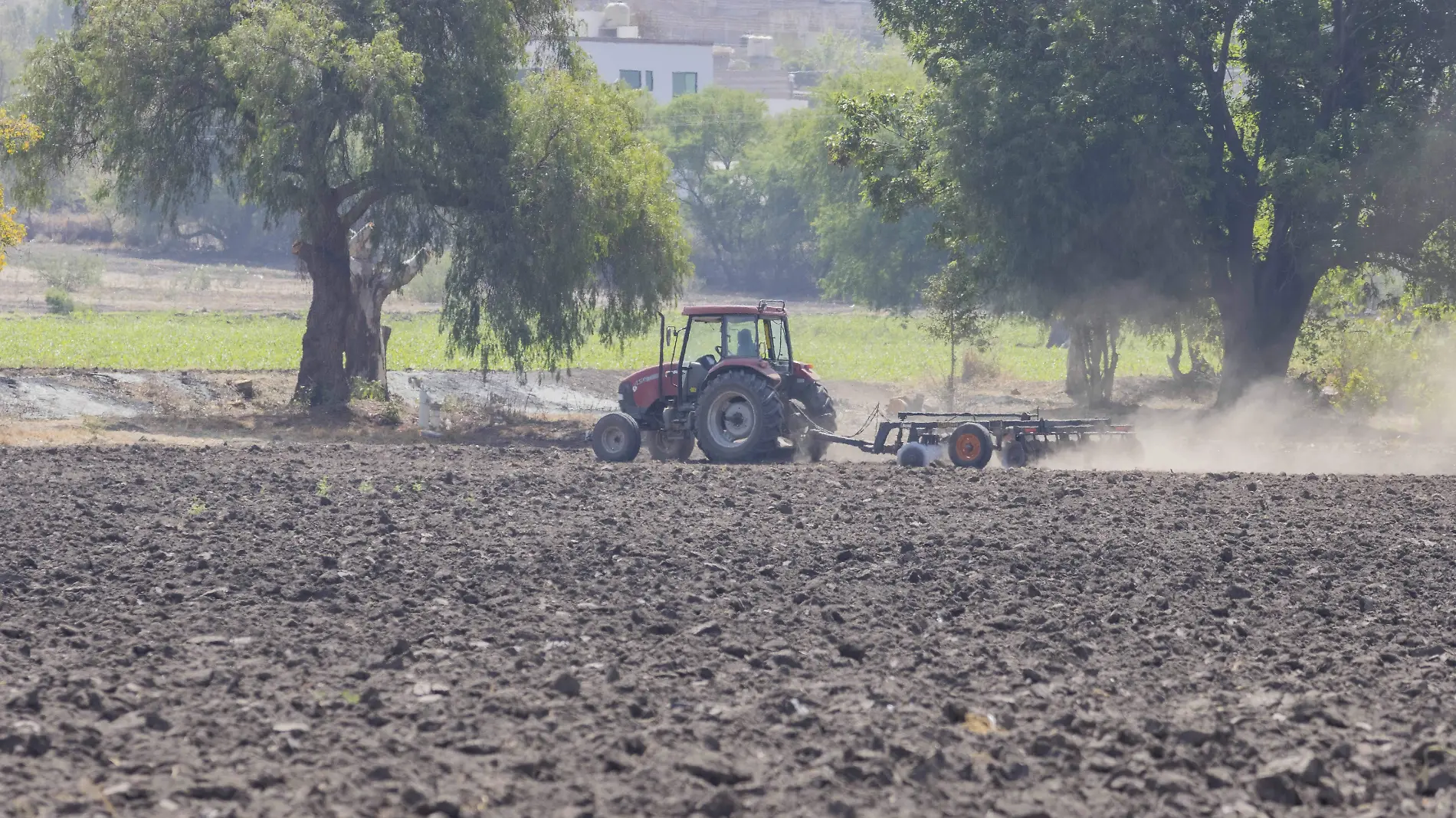 campo maíz siembra 2